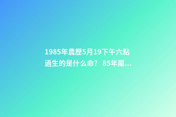 1985年農歷5月19下午六點過生的是什么命？ 85年屬牛女辰時出生命運怎樣，85年屬牛的人一生運程